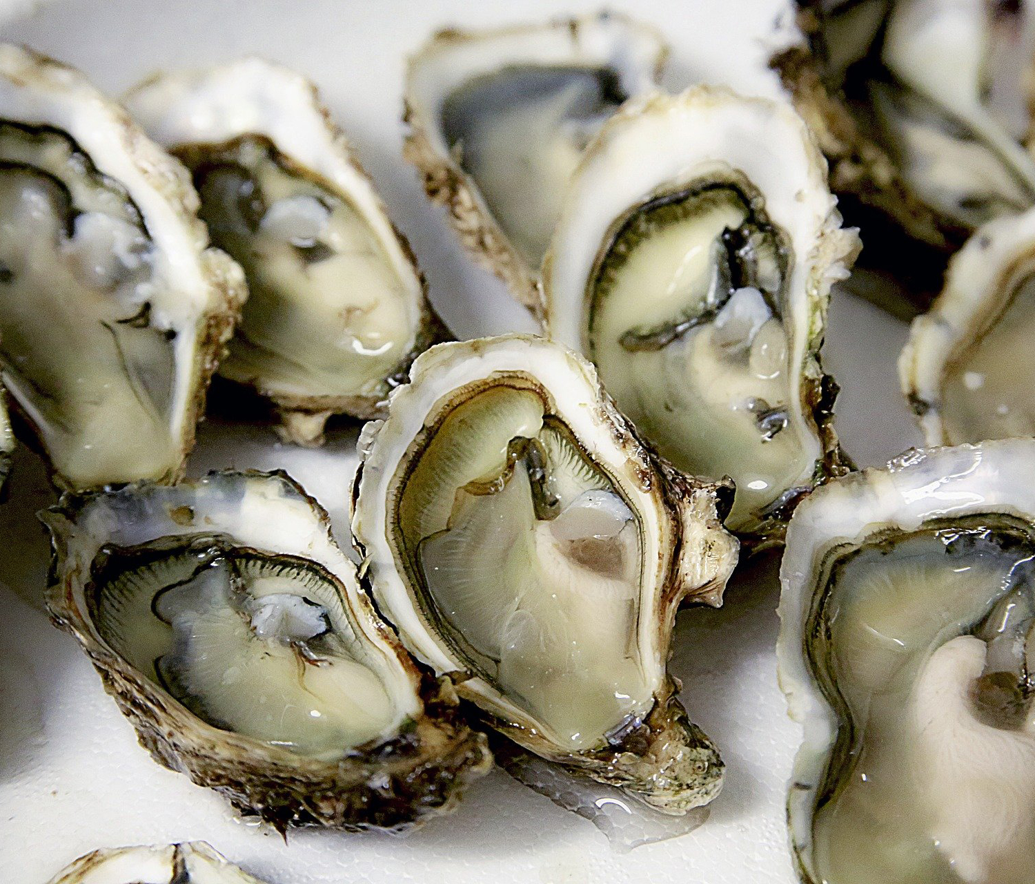 You are currently viewing Repas de fêtes de fin d’année : comment choisir les poissons et crustacés
